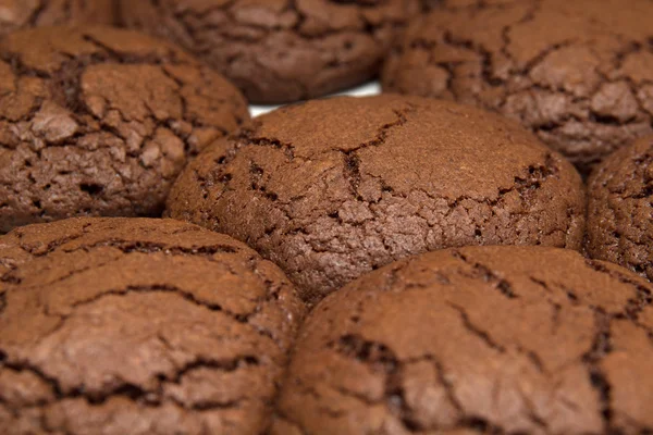 Biscotti al cioccolato appena fatti — Foto Stock