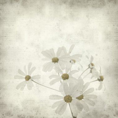 desenli eski kağıt arkaplan  