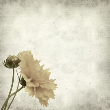 desenli eski kağıt arkaplan  