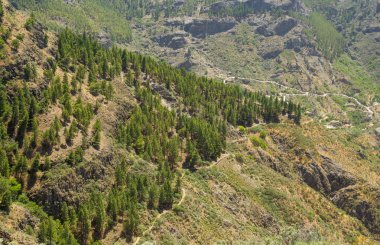 Gran canaria, caldera de tejeda