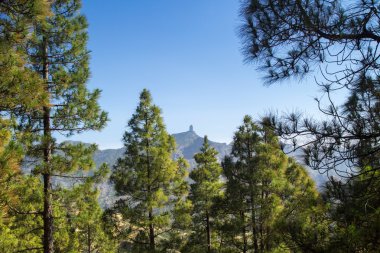 Gran canaria, caldera de tejeda