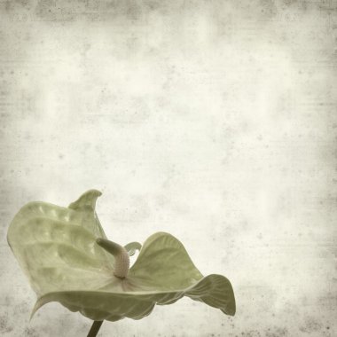 desenli eski kağıt arkaplan  