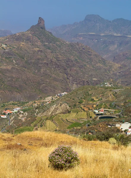 Caldera de tejeda gran canaria — Foto de Stock