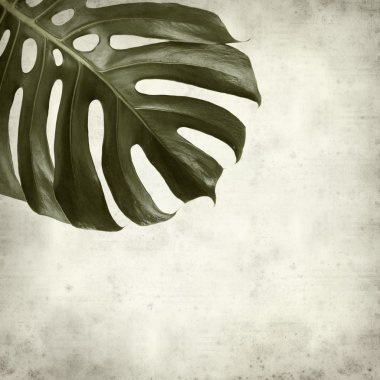 desenli eski kağıt arkaplan  