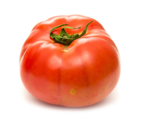 Tomate grande cultivado en tierra aislado en blanco —  Fotos de Stock