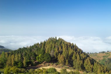 İç Gran Canaria, bulut örtüsü doğru ağaç başında üzerinden görünüm
