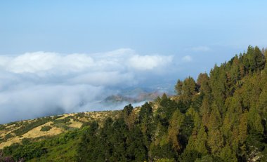 İç Gran Canaria, bulut örtüsü doğru ağaç başında üzerinden görünüm