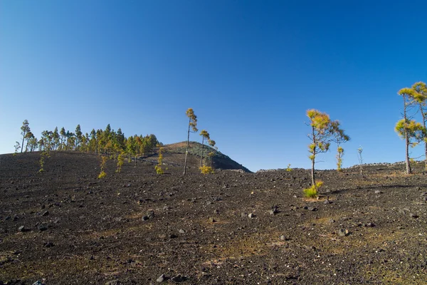 Gran Canaria Interior, Montanon Negro — Fotografia de Stock