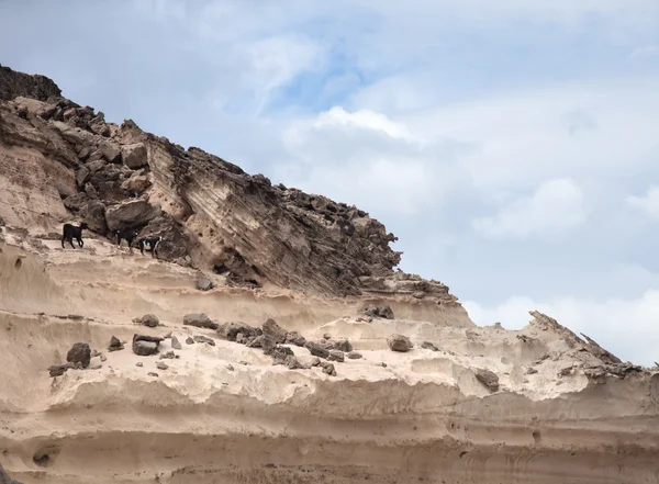 Fuerteventura, kanarische inseln, westküste jandias — Stockfoto