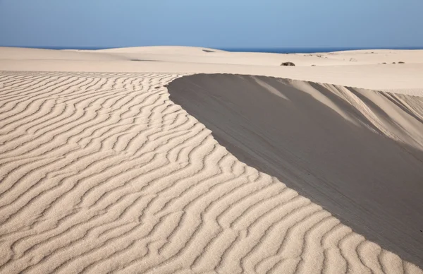 Fuerteventura, Kanárské ostrovy, duny Corralejo — Stock fotografie