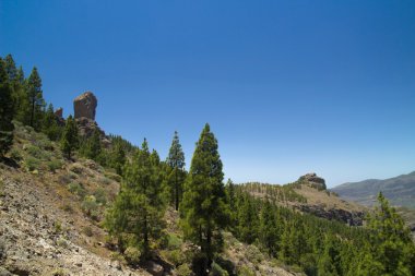 İç Merkez Gran Canaria, Roque Nublo ve Kanarya Adaları PIN