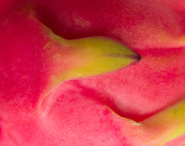 Dragon fruit — Stock Photo, Image