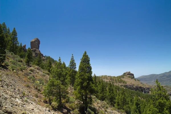 内陸部の中心地グラン ・ カナリア島、ロケ Nublo、カナリア諸島のピン — ストック写真