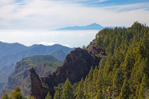 Gran Canaria, Caldera de Tejeda — Zdjęcie stockowe