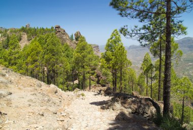 Gran canaria, caldera de tejeda