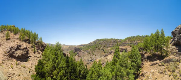 Interior de Gran Canaria — Foto de Stock