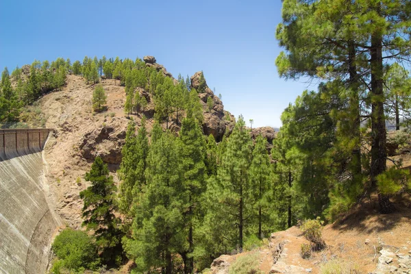 Intérieur Gran Canaria — Photo