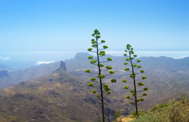 İç Gran Canaria
