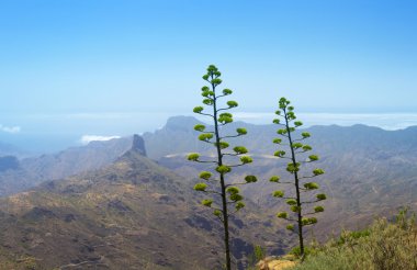 Inland Gran Canaria clipart