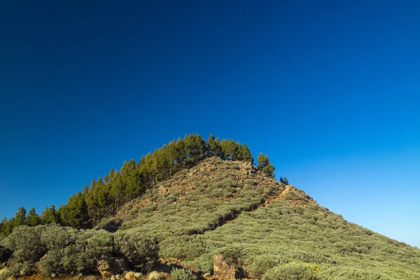 Vnitrozemí Gran Canaria — Stock fotografie