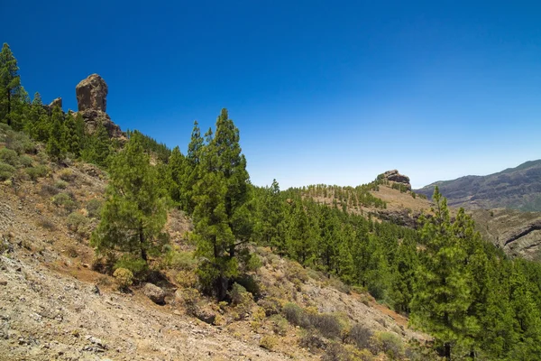 Binnenland Gran Canaria — Stockfoto