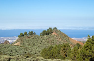 İç Gran Canaria
