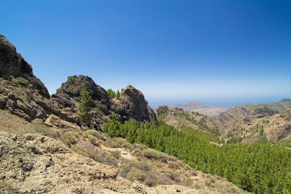 Gran Canaria im Landesinneren — Stockfoto