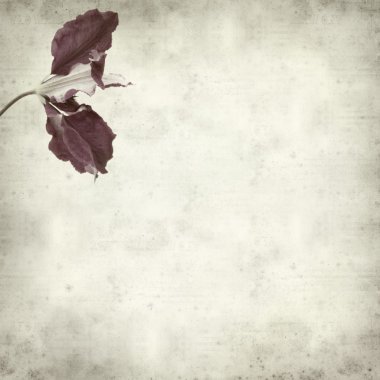 desenli eski kağıt arkaplan  