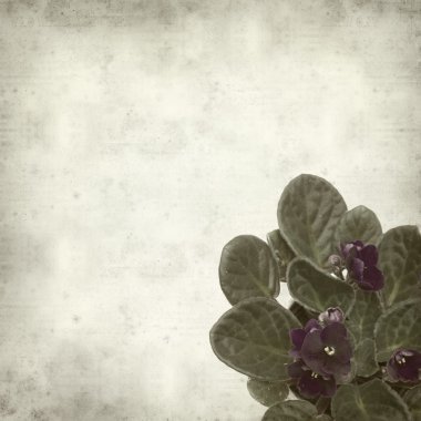 desenli eski kağıt arkaplan  