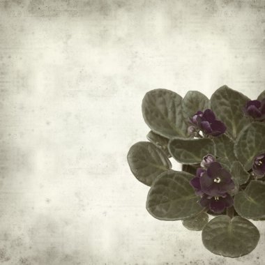 desenli eski kağıt arkaplan  