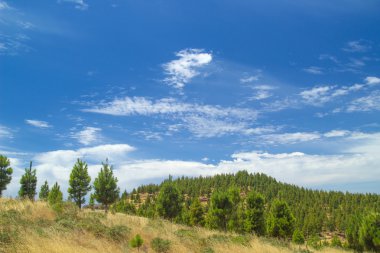 Gran Canaria, rota Cruz de Tejeda - Artenara