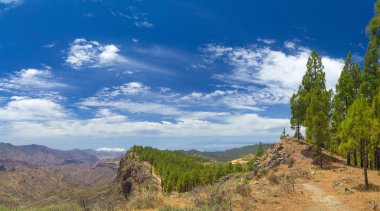 Gran Canaria, rota Cruz de Tejeda - Artenara