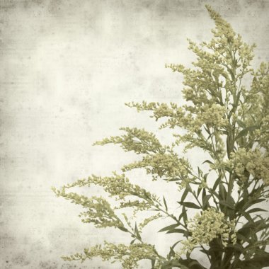 desenli eski kağıt arkaplan  