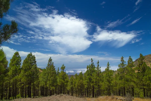 Gran Canaria, ruta Cruz de Tejeda - Artenara —  Fotos de Stock