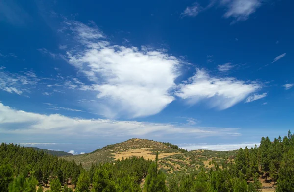 Gran Canaria, ruta Cruz de Tejeda - Artenara —  Fotos de Stock