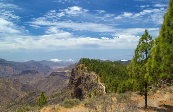 Gran Canaria, Cruz de Tejeda - route Artenara — Stockfoto