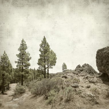 desenli eski kağıt arkaplan  