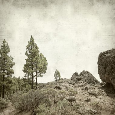 desenli eski kağıt arkaplan  