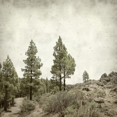 desenli eski kağıt arkaplan  