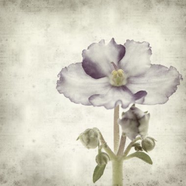 desenli eski kağıt arkaplan  