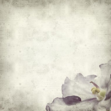 desenli eski kağıt arkaplan  