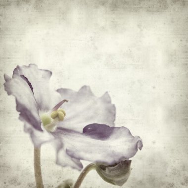 desenli eski kağıt arkaplan  