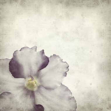 desenli eski kağıt arkaplan  