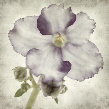 desenli eski kağıt arkaplan  