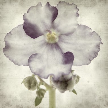 desenli eski kağıt arkaplan  