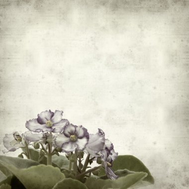 desenli eski kağıt arkaplan  