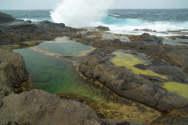 Gran Canaria, Banaderos alan, rock havuzları — Stok fotoğraf