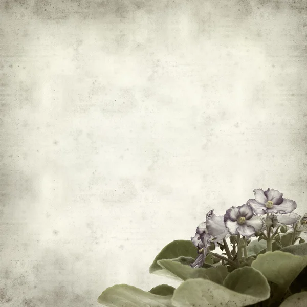 desenli eski kağıt arkaplan  