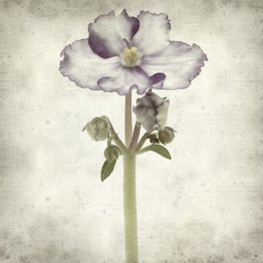 desenli eski kağıt arkaplan  