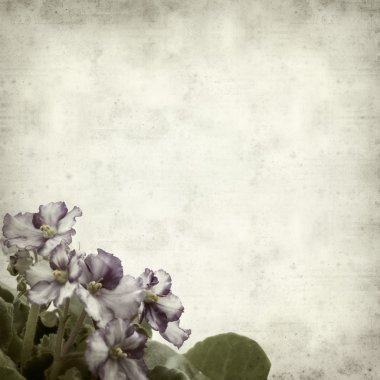 desenli eski kağıt arkaplan  